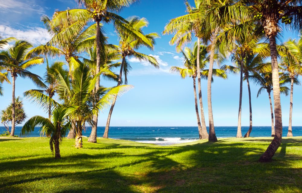 Découvrez les plus belles plages de la Réunion pour un été de rêve !