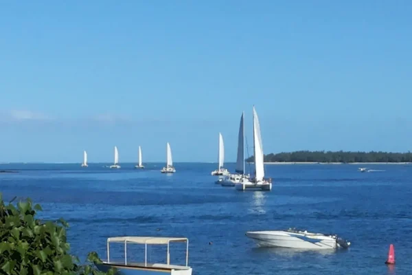 Catamarans photo